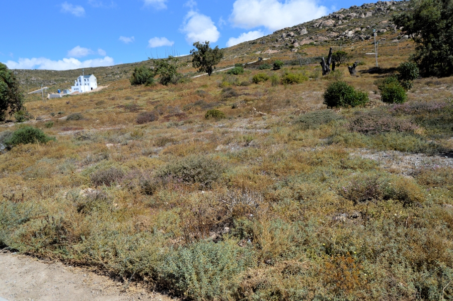 0 Bedroom Property for Sale in St Helena Views Western Cape